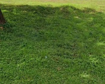 Tanah Citraland Di Raya Rafles Garden Double Way