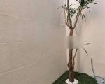 thumbnail-rumah-pakuwon-indah-dekat-graha-family-citraland-wiyungroyal-residence-1